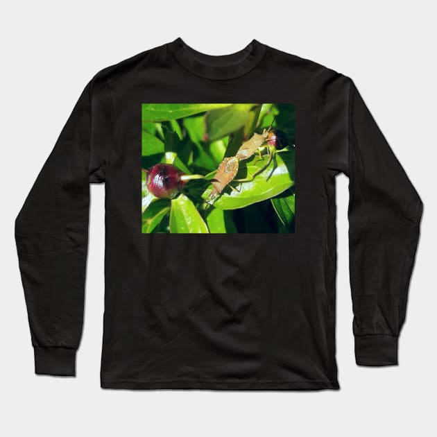 Love ? Long Sleeve T-Shirt by robelf